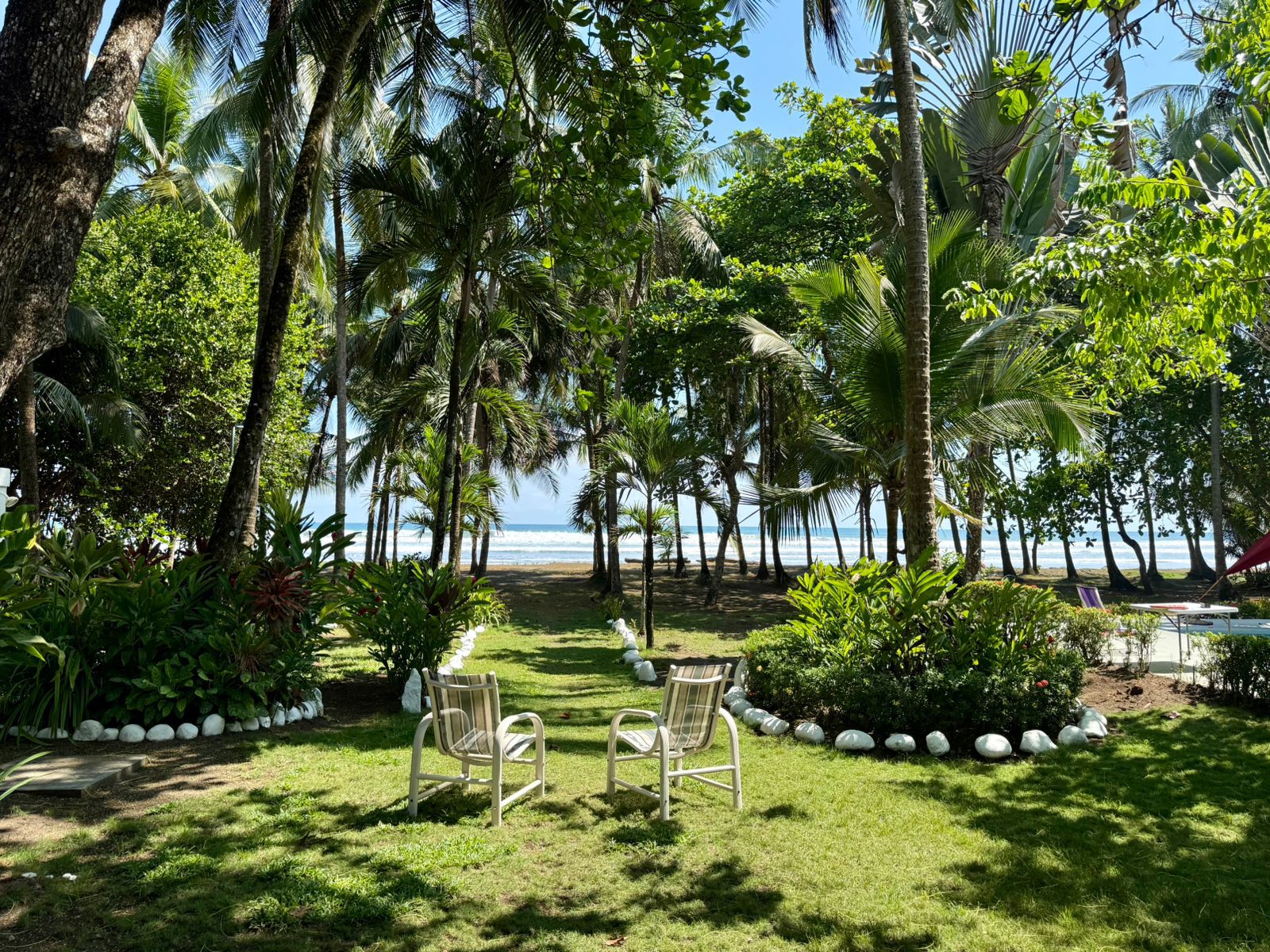 Garden with palm trees and ocean view