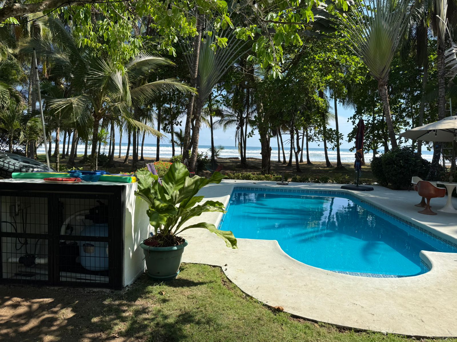 Pool with ocean view